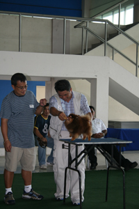 training_seminar_3a.jpg
